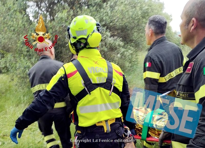 ANZIANO SI PERDE NEI BOSCHI, SALVATO DALL'ELISOCCORSO